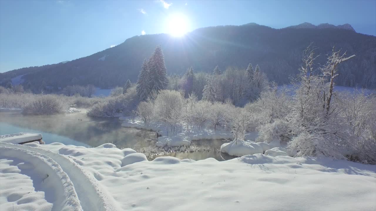 冬天的童话在泽伦奇自然保护区覆盖了一层新雪毯视频素材