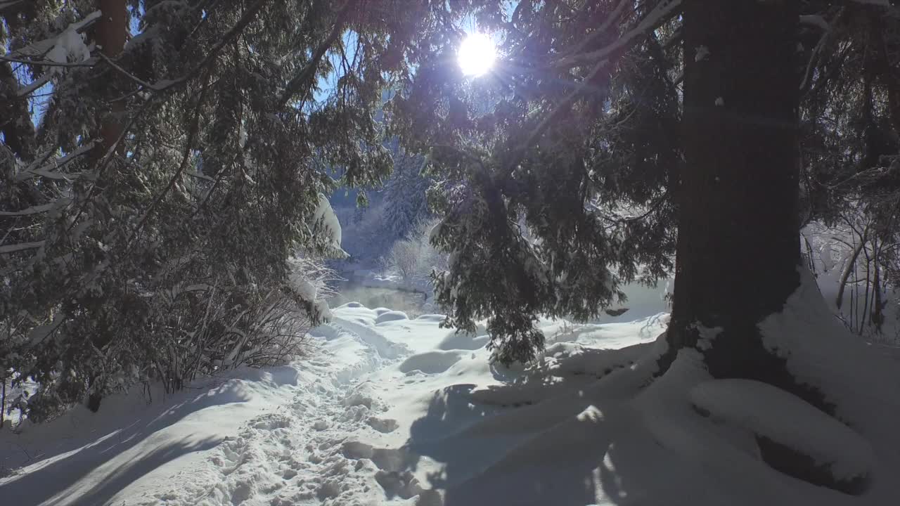 华丽的阳光明媚的冬日在泽伦奇旅游景点与新鲜的雪毯视频素材