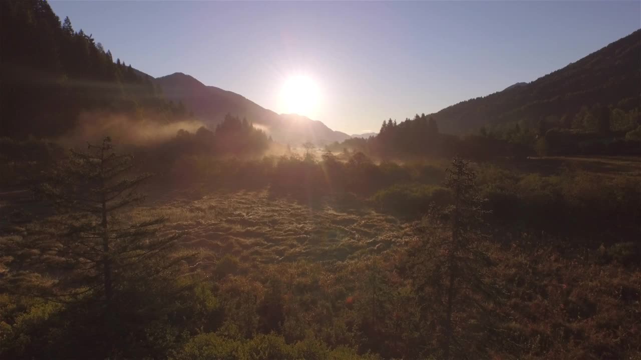 航拍:柔和的秋日晨雾在泽伦奇泉湿地上空升起视频素材