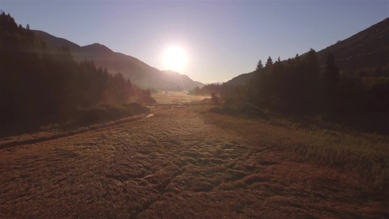 航拍:金色的秋天早晨的阳光照耀着美丽的泽伦奇湿地地区视频素材