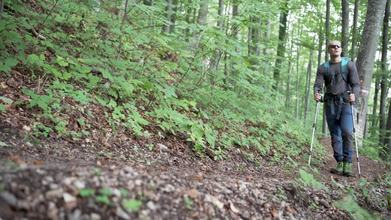 背包客正在穿过森林视频素材