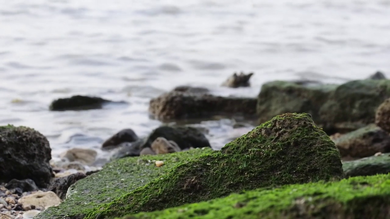 海浪撞击海滩卵石和岩石的低镜头。高清视频。海股票。视频下载