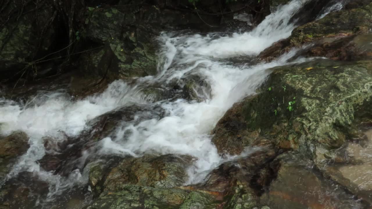 在雨林中流动的溪水视频素材