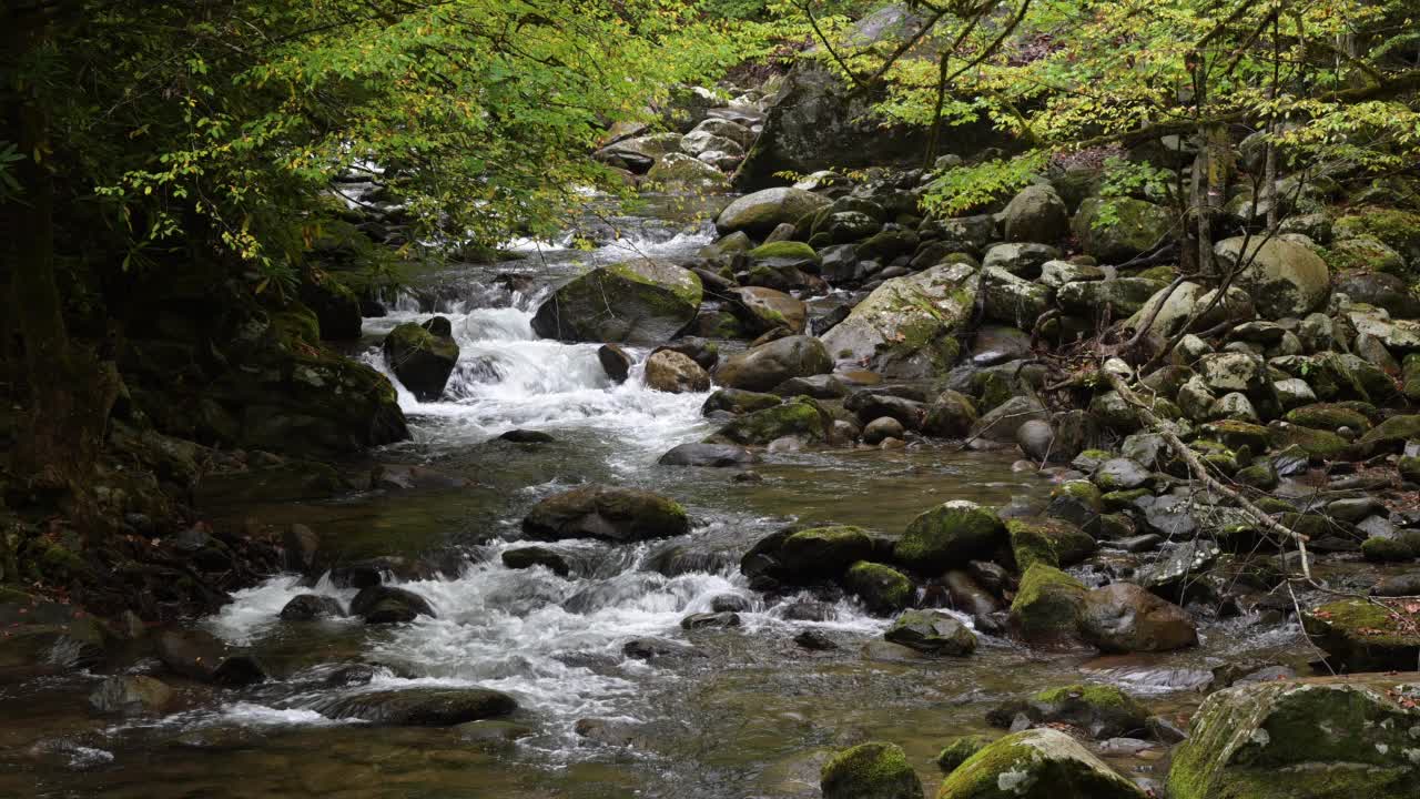 大河在大烟山国家公园的瀑布视频素材