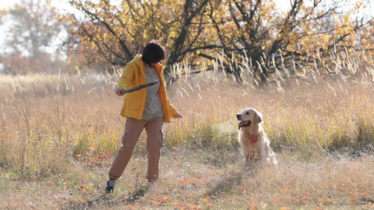 女孩带着金毛猎犬视频素材