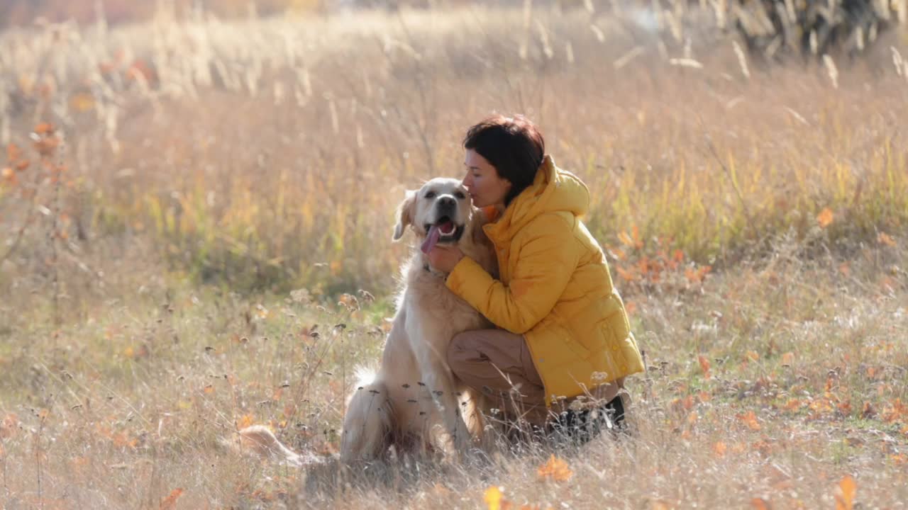 女孩带着金毛猎犬视频素材