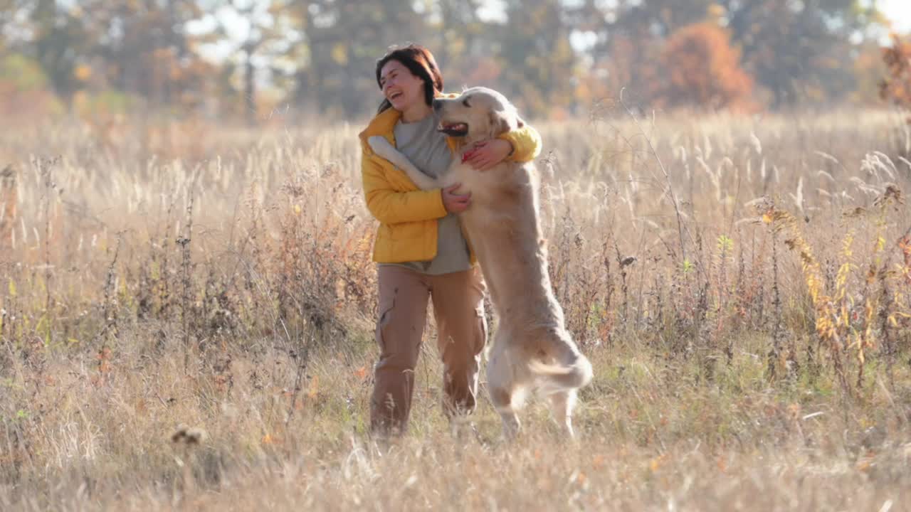 女孩带着金毛猎犬视频素材