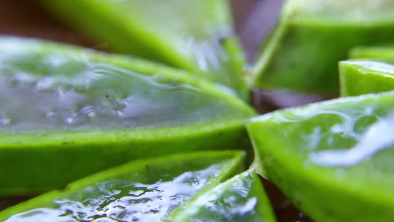 芦荟中的雨滴视频素材