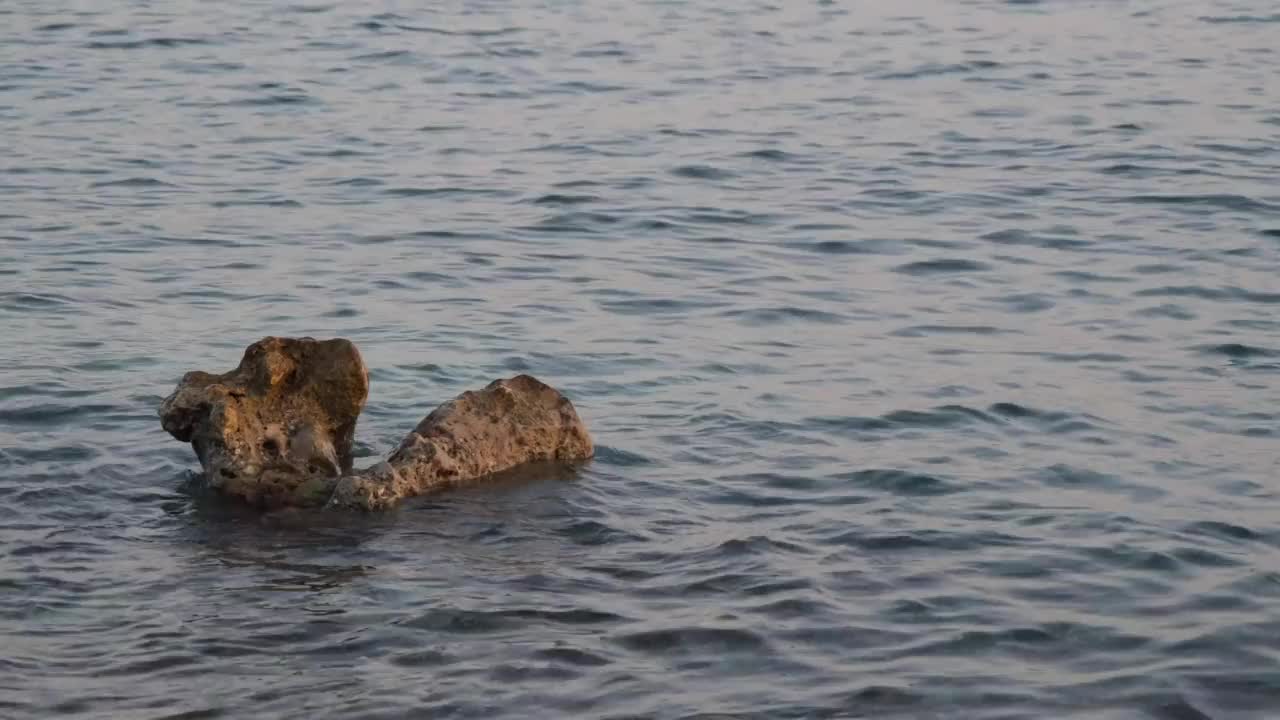 海滩上的石头视频素材