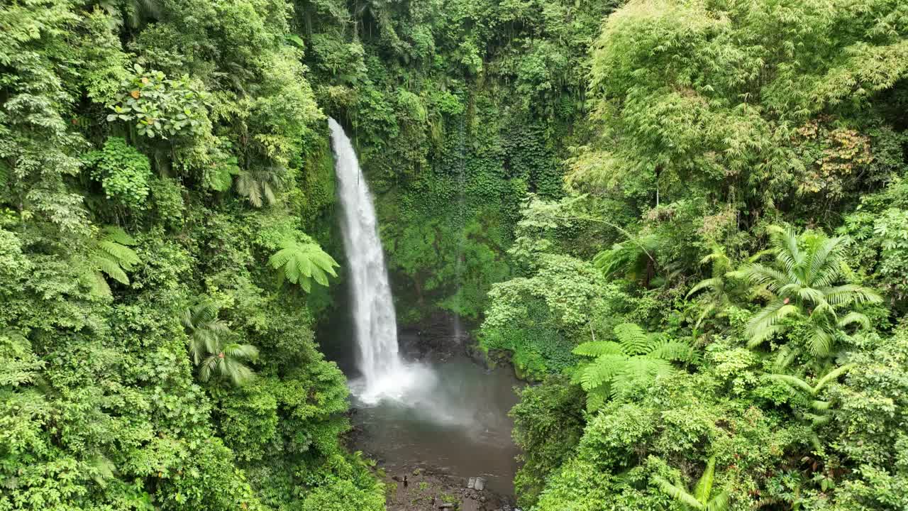 热带雨林中的瀑布视频素材