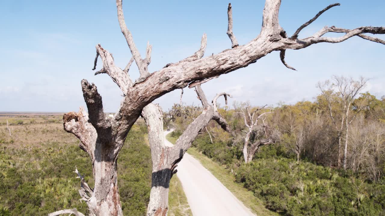 白天空中绿树成荫的两车道公路或国家公路在农村环境。一辆汽车开过视频素材