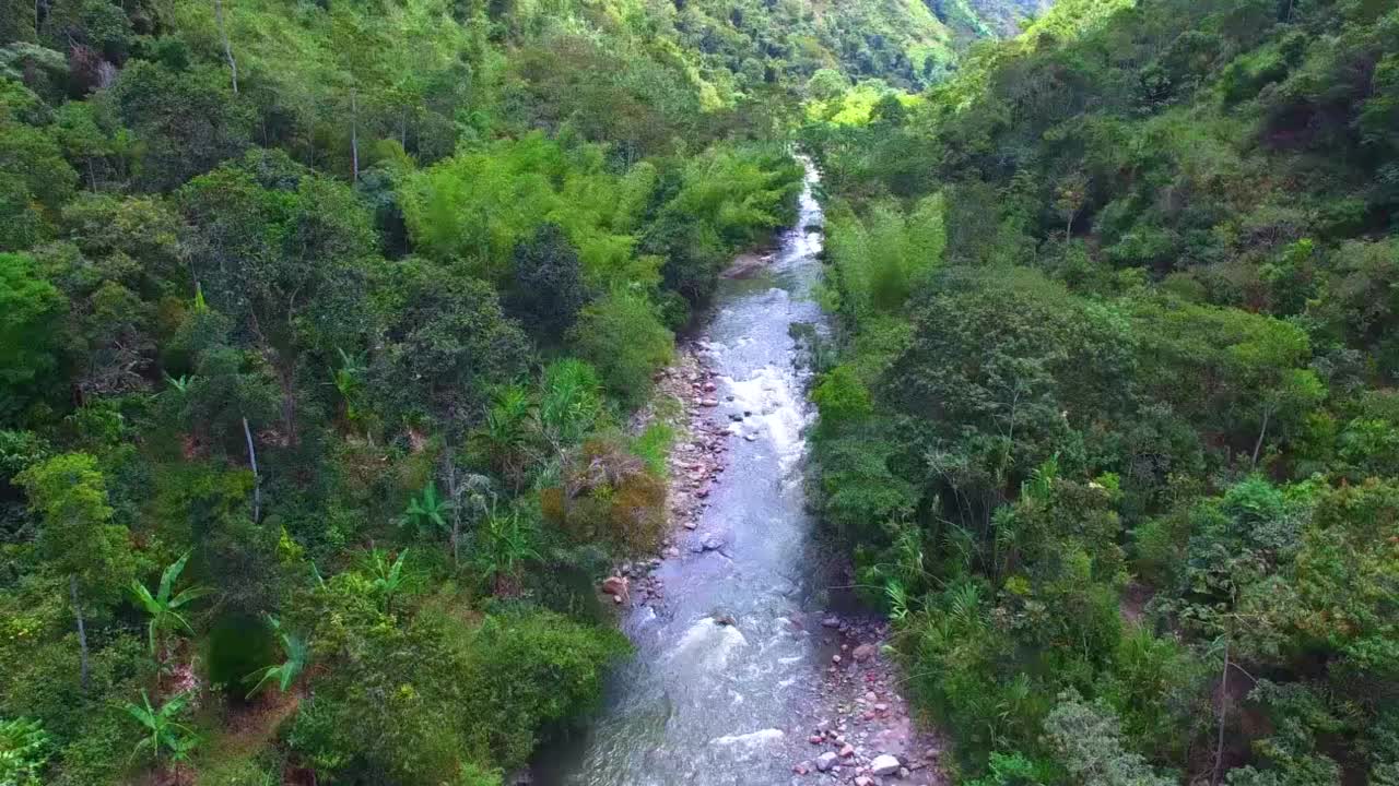 无人机拍摄的河流与强大的水流和岩石周围的树木在哥伦比亚和自然选择性焦点无噪声视频素材