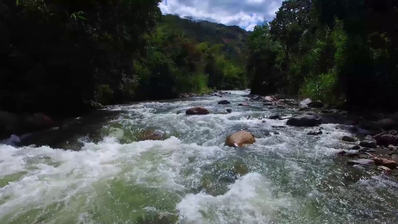 无人机拍摄的河流与强大的水流和岩石周围的树木在哥伦比亚和自然选择性焦点无噪声视频素材