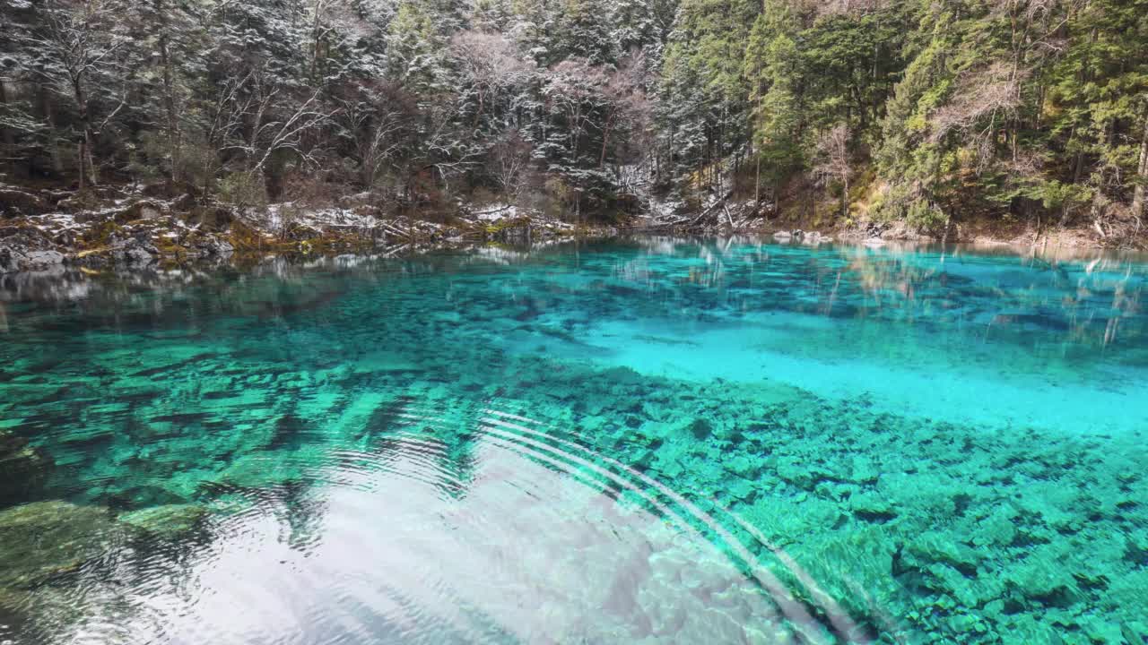 九寨沟的湖泊呈现出令人难以置信的蓝色视频素材