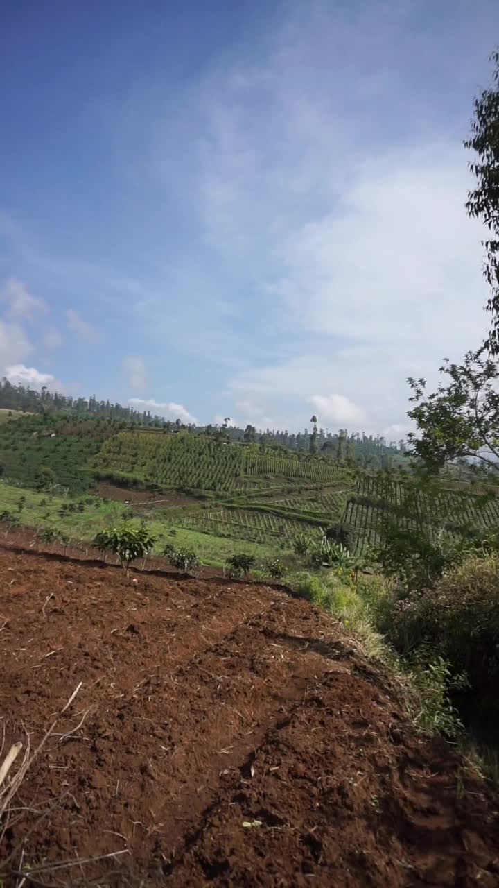 美丽的山地自然风光丘陵自然全景，有高大的绿树森林和绿色的山坡在多云的蓝天下视频素材