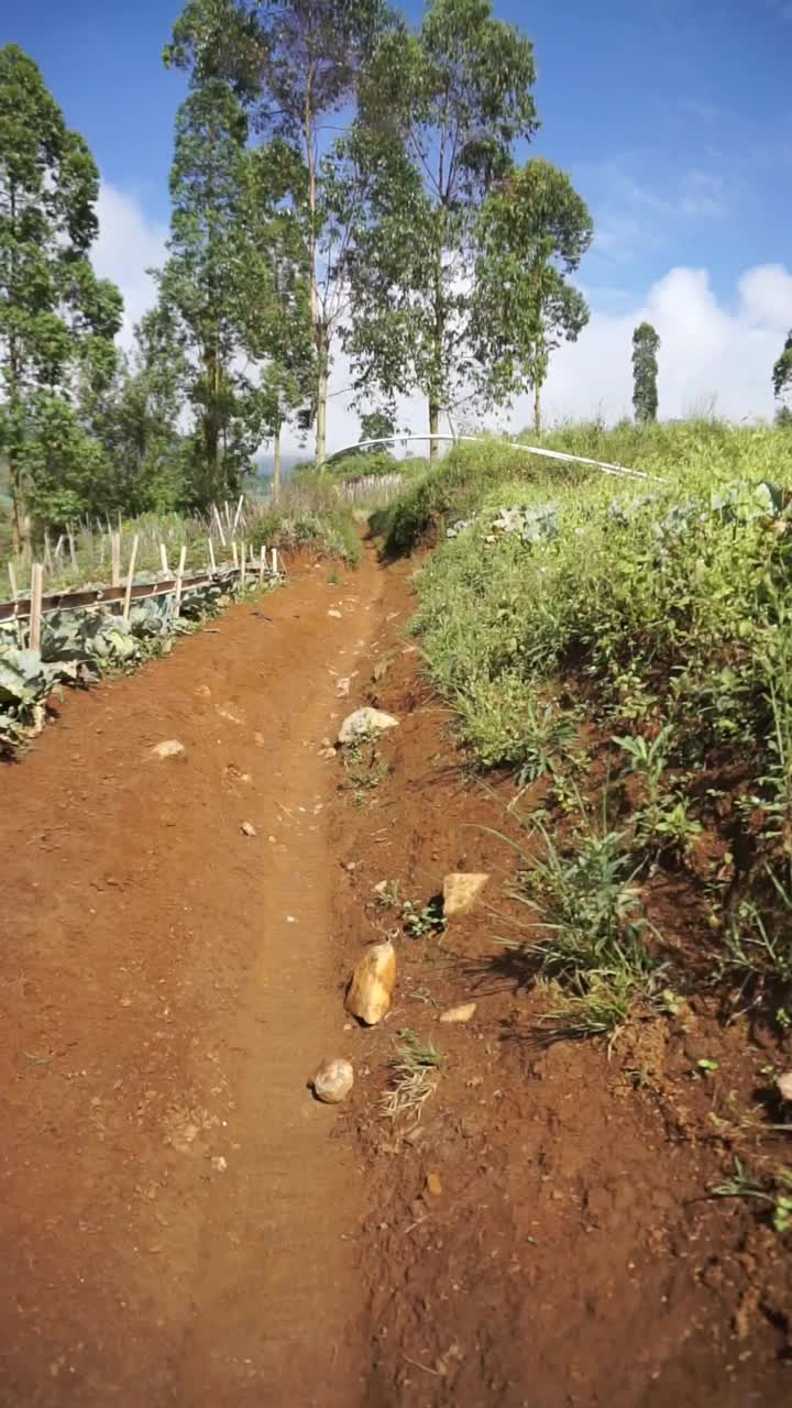 美丽的山地自然风光丘陵自然全景，有高大的绿树森林和绿色的山坡在多云的蓝天下视频素材