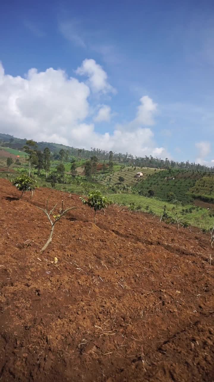 美丽的山地自然风光丘陵自然全景，有高大的绿树森林和绿色的山坡在多云的蓝天下视频素材