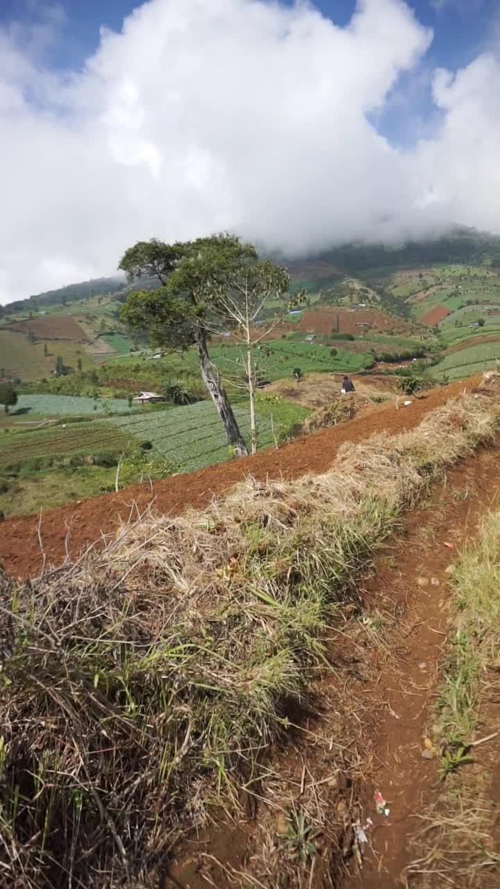 美丽的山地自然风光丘陵自然全景，有高大的绿树森林和绿色的山坡在多云的蓝天下视频素材