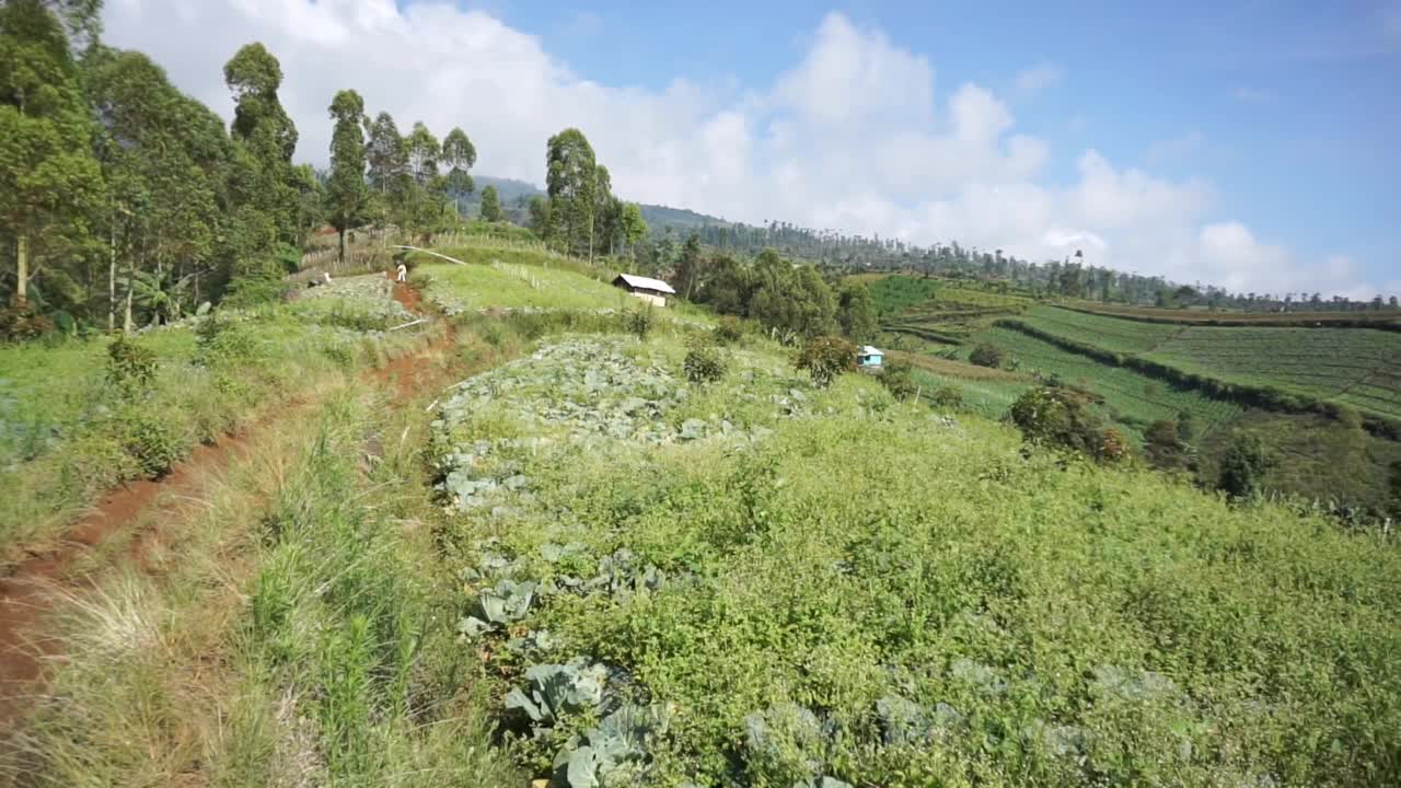 自然风光全景山自然，和森林视频素材