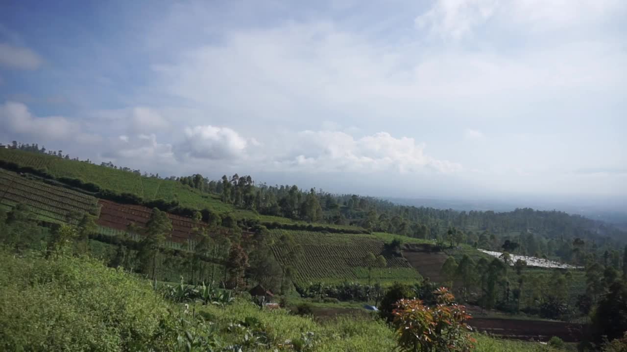 自然风光全景山自然，和森林视频素材