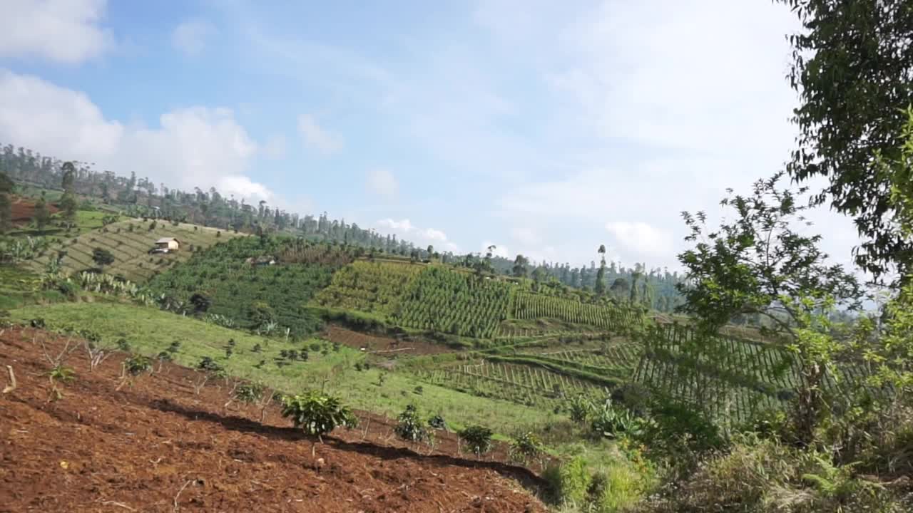 自然风光全景山自然，和森林视频素材