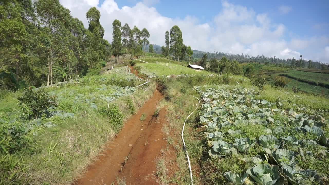 自然风光全景山自然，和森林视频素材