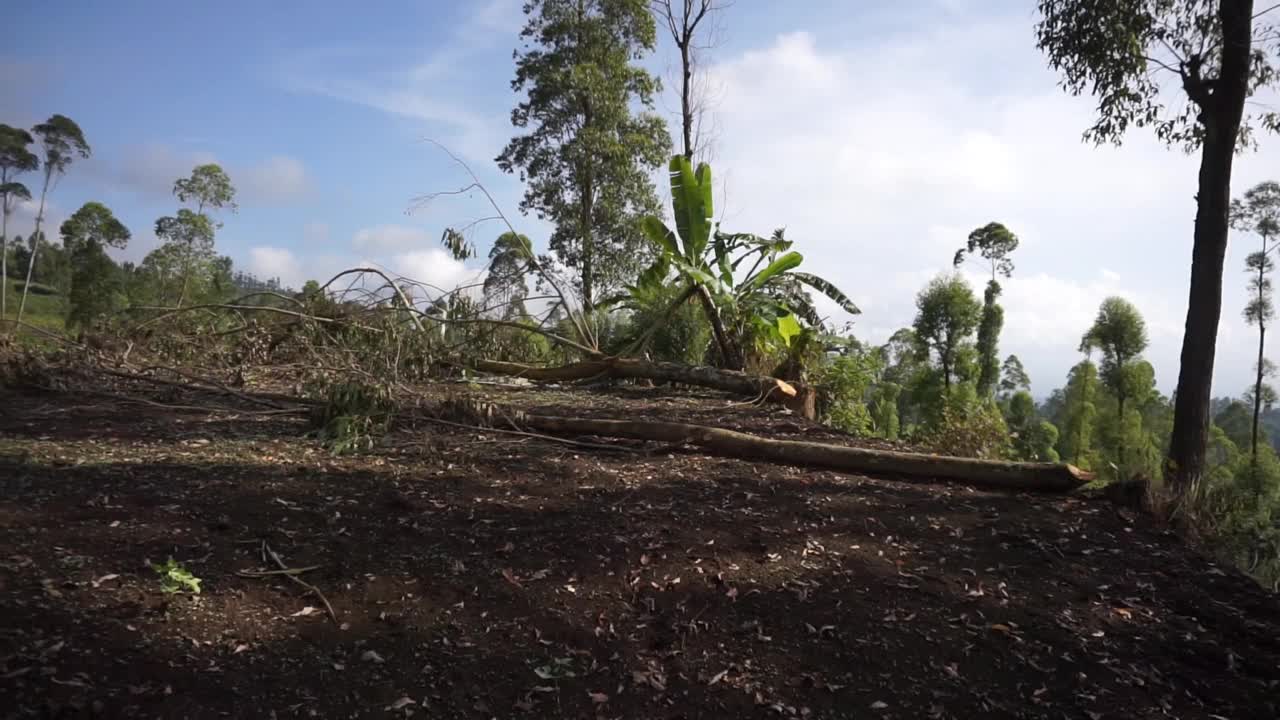 自然风光全景山自然，和森林视频素材