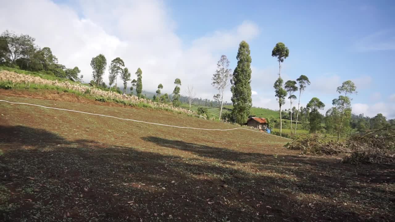 自然风光全景山自然，和森林视频素材