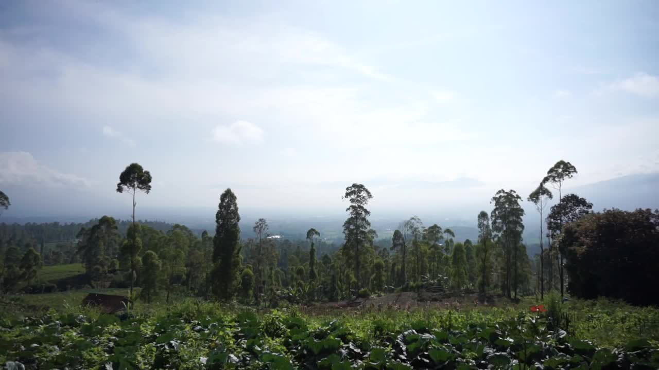 自然风光全景山自然，和森林视频素材