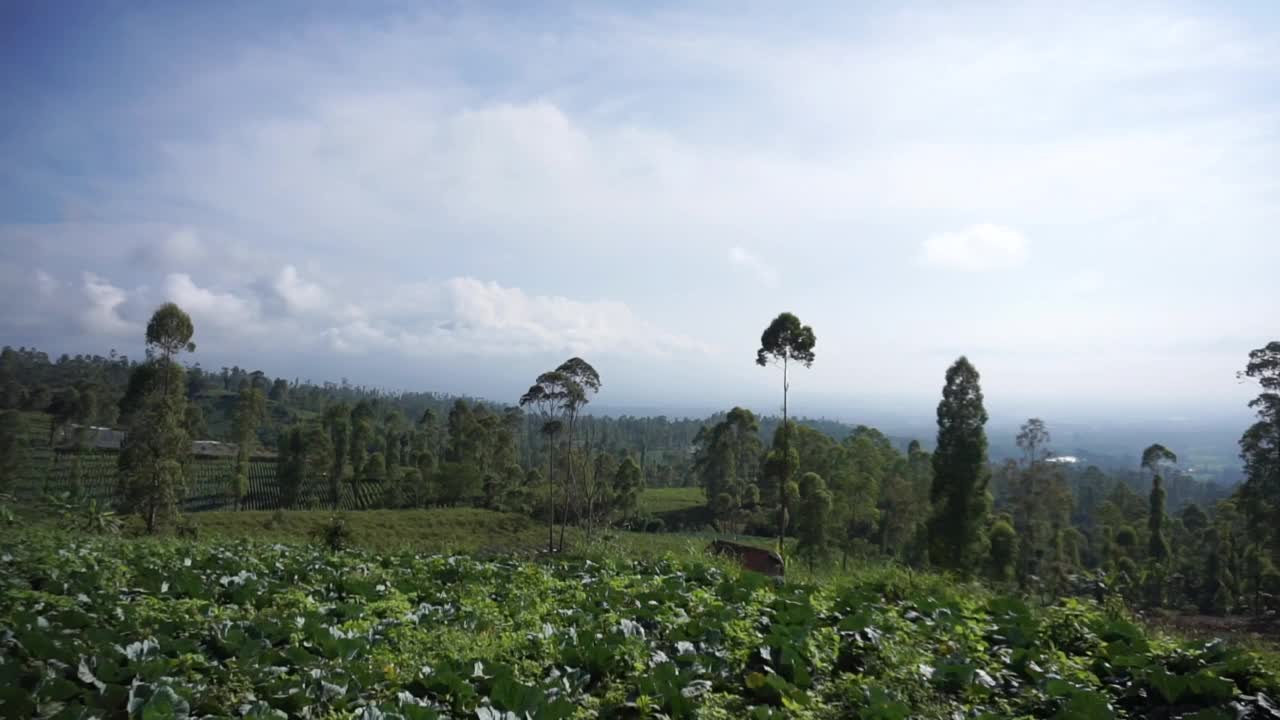 自然风光全景山自然，和森林视频素材