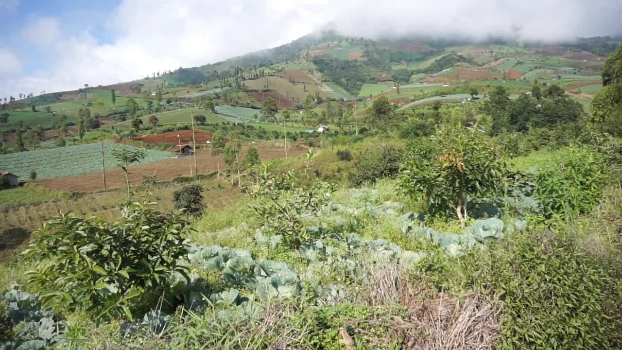 自然风光全景山自然，和森林视频素材