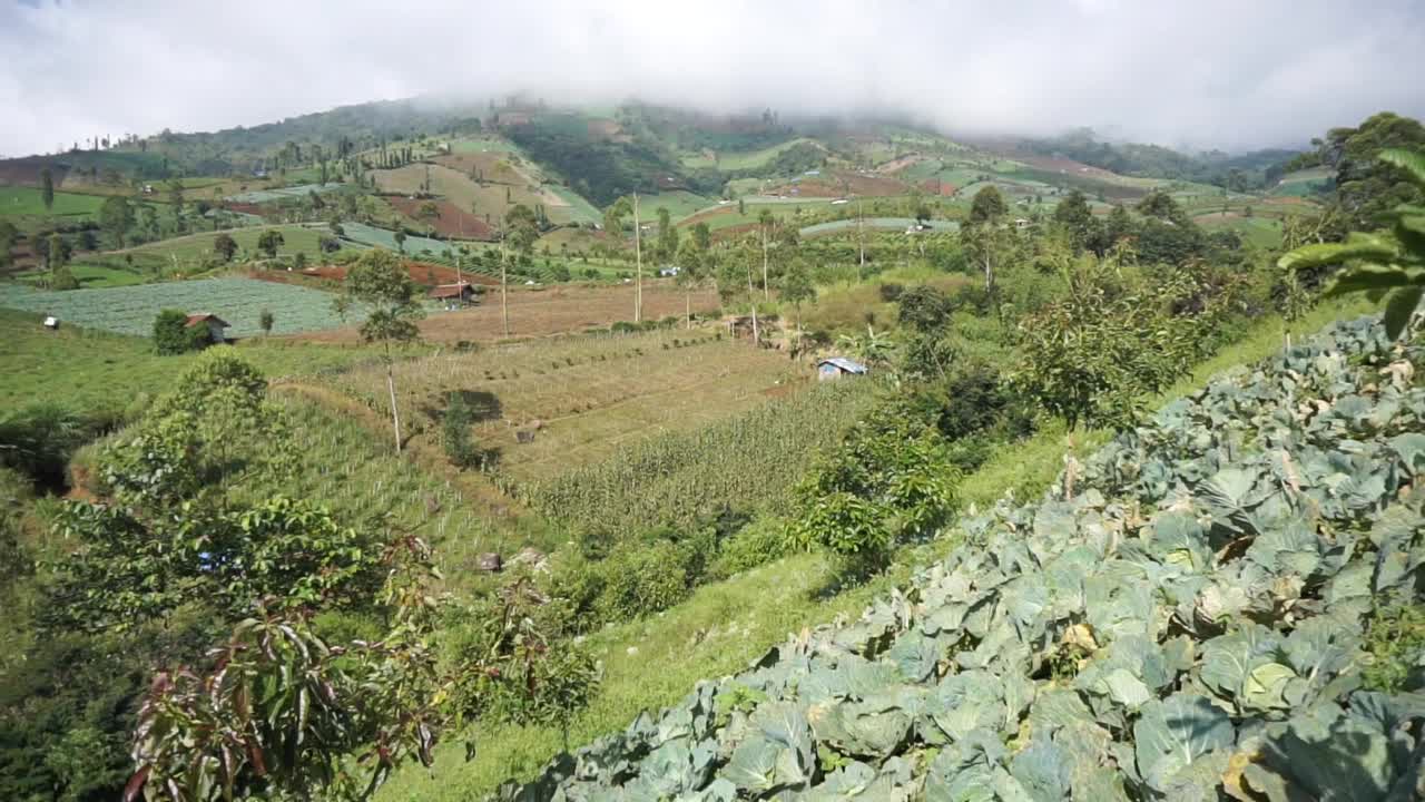 自然风光全景山自然，和森林视频素材