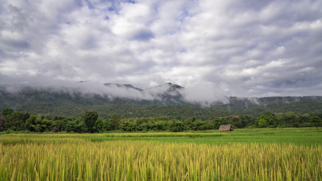 在泰国清迈Huay Thung Tao公园，在雨季的一个清晨，移动的云在山上和稻田上空的时间流逝视频素材