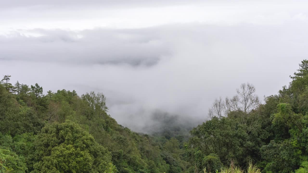 泰国北部热带森林山区雨后雾的时间推移。视频素材