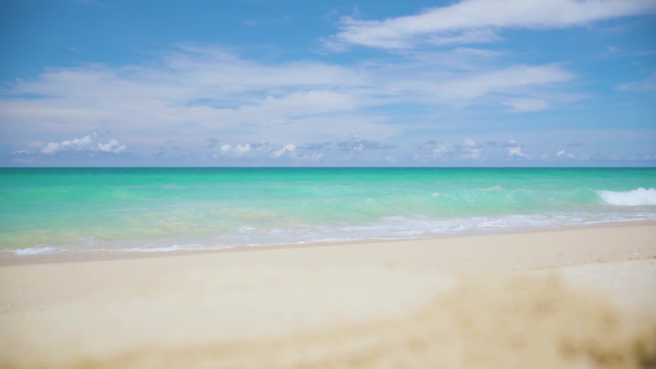 日落海棕榈。椰子棕榈海滩。海的天空云。视频素材