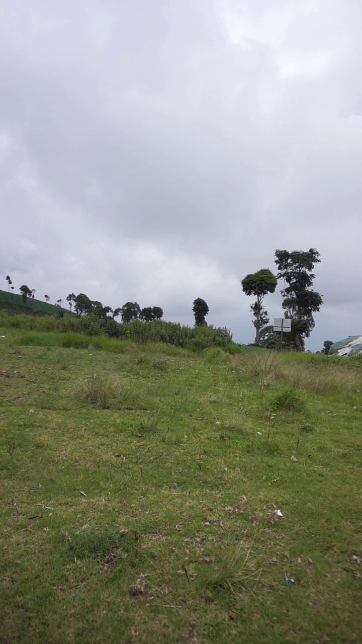 美丽的垂直自然风景山自然全景丘陵，森林的高绿树和山坡的绿色种植园在多云的蓝天下，在白天视频素材