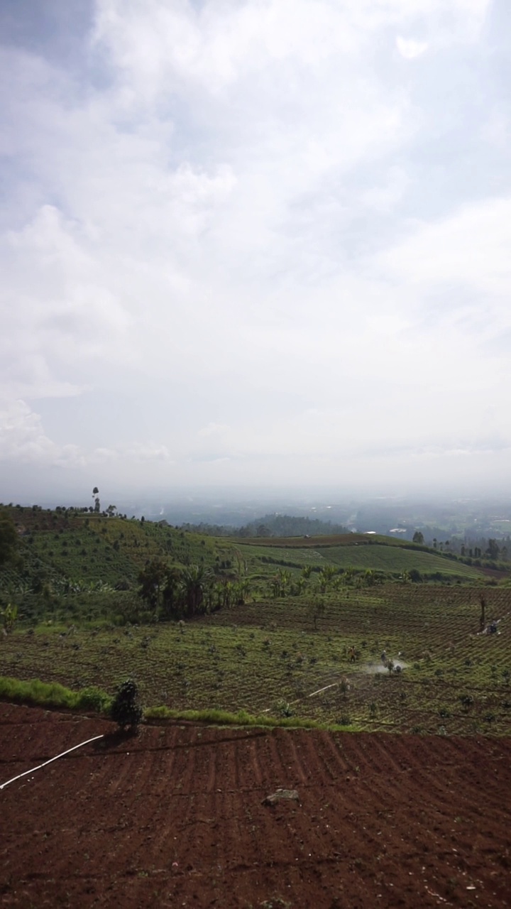 美丽的垂直自然风景山自然全景丘陵，森林的高绿树和山坡的绿色种植园在多云的蓝天下，在白天视频素材