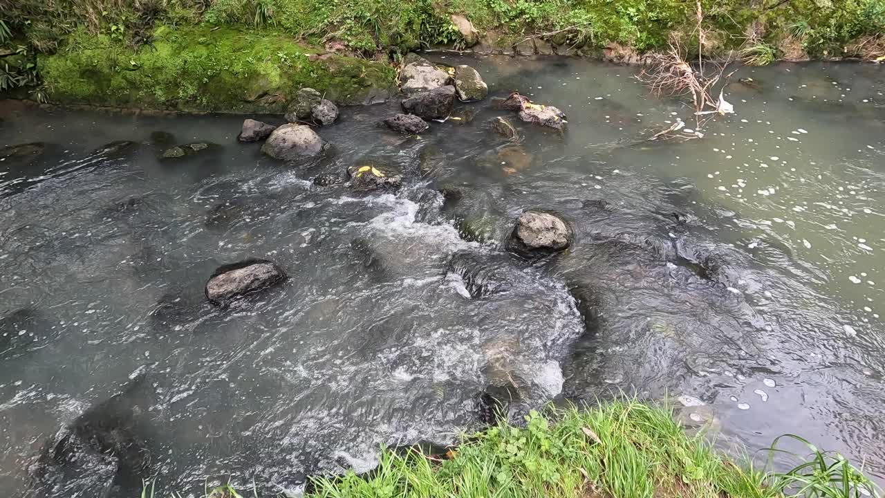 流动的小溪视频素材