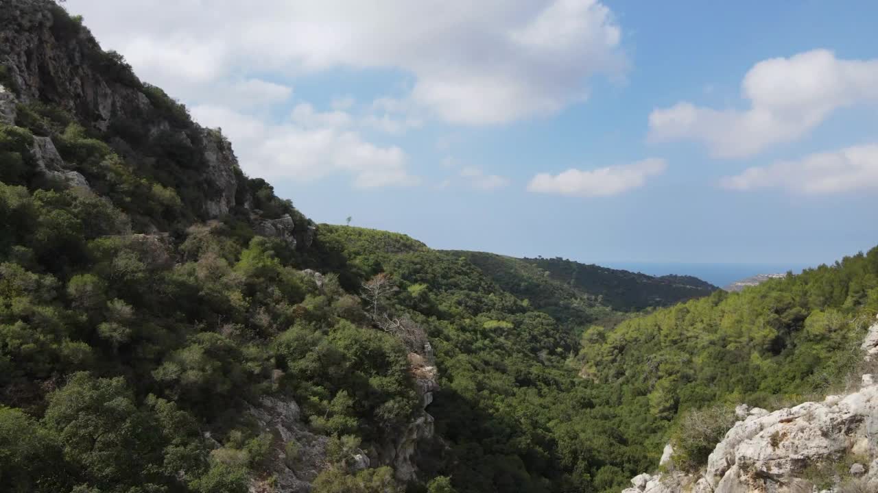 鸟瞰有绿树的落基山脉视频素材