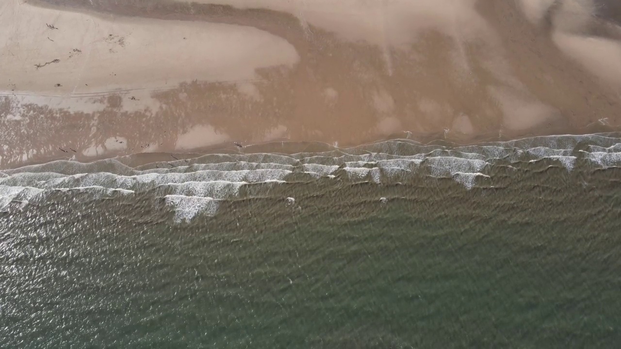 海滩、海浪和海岸线上的游客视频素材