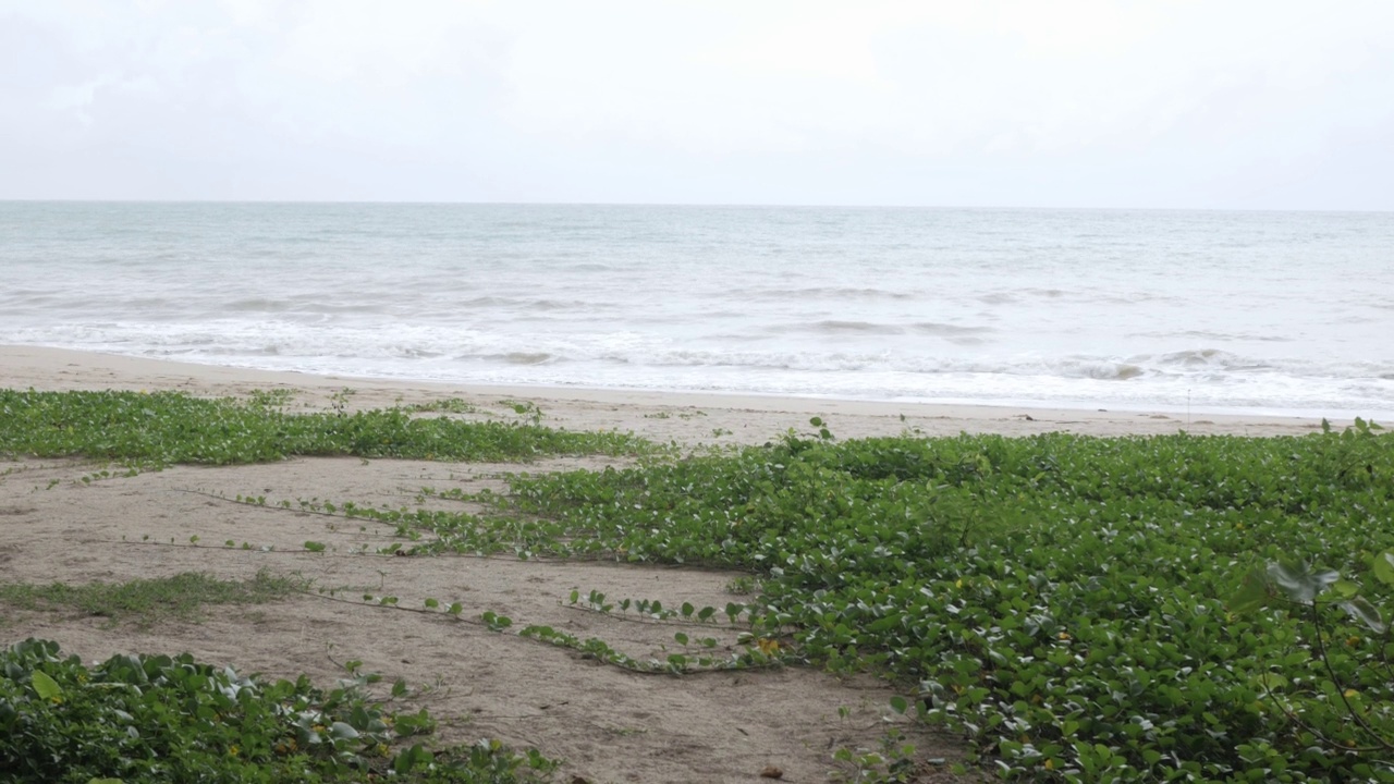 海岸海岸白沙平坦的沙滩配上绿松石色的热带海水大海带着一些波浪，热带自然的夏季景观视频素材