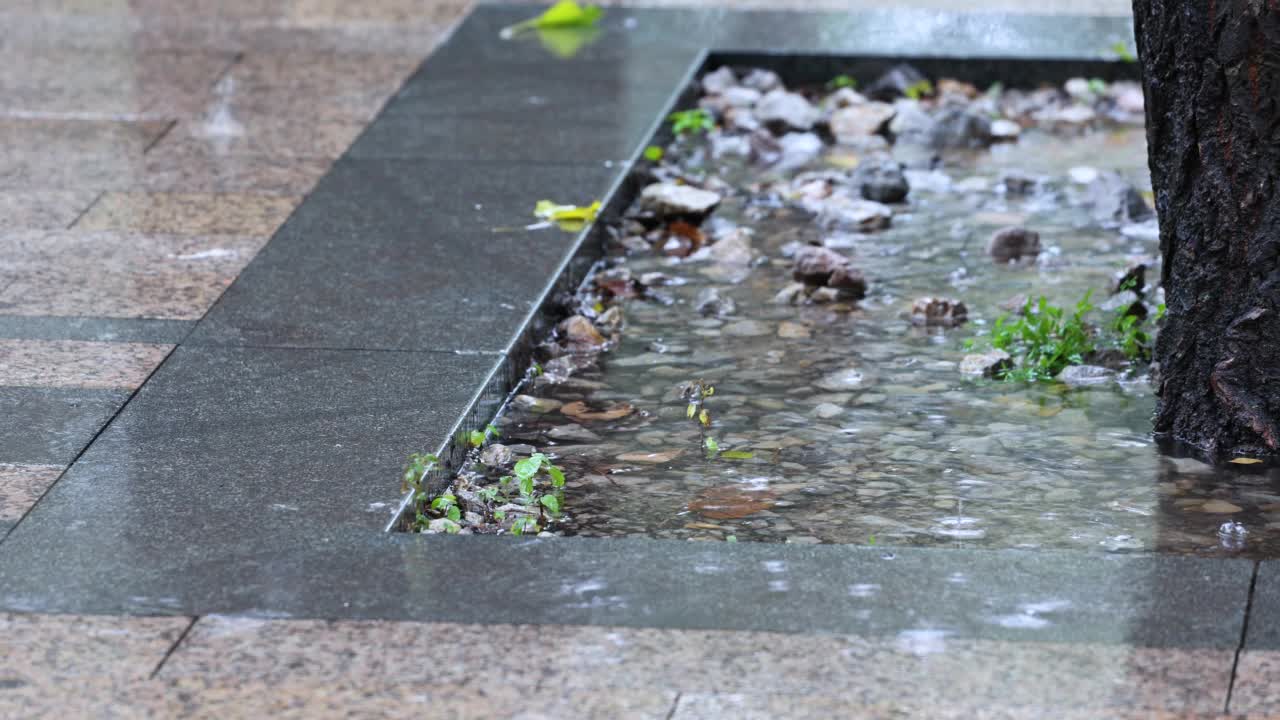 秋天的小雨视频素材