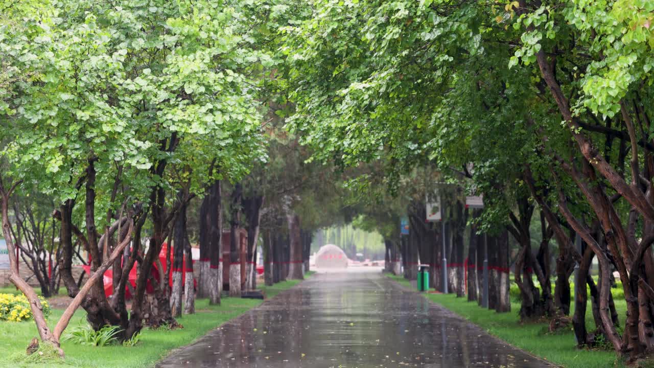 秋天的小雨视频素材