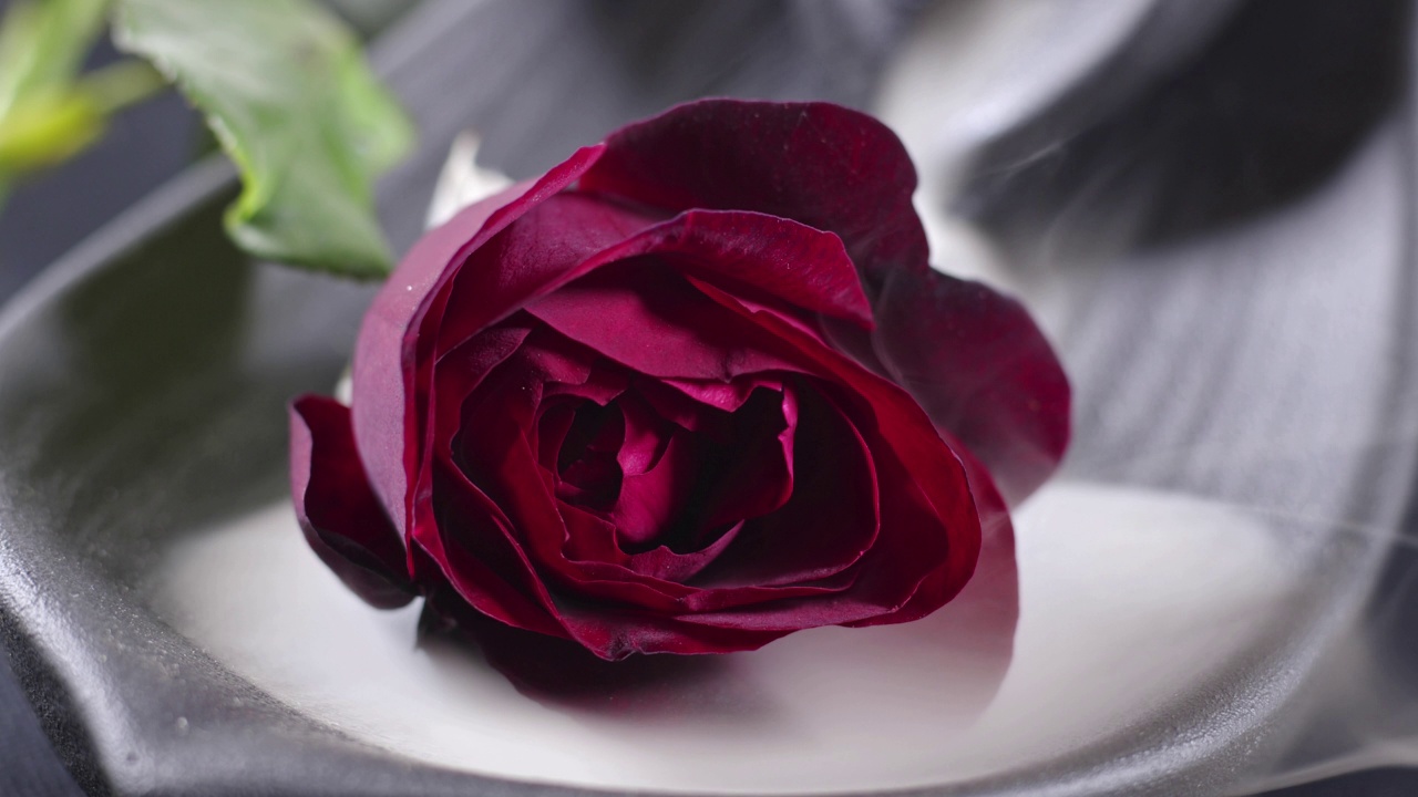 浪漫的红玫瑰在烟里视频素材