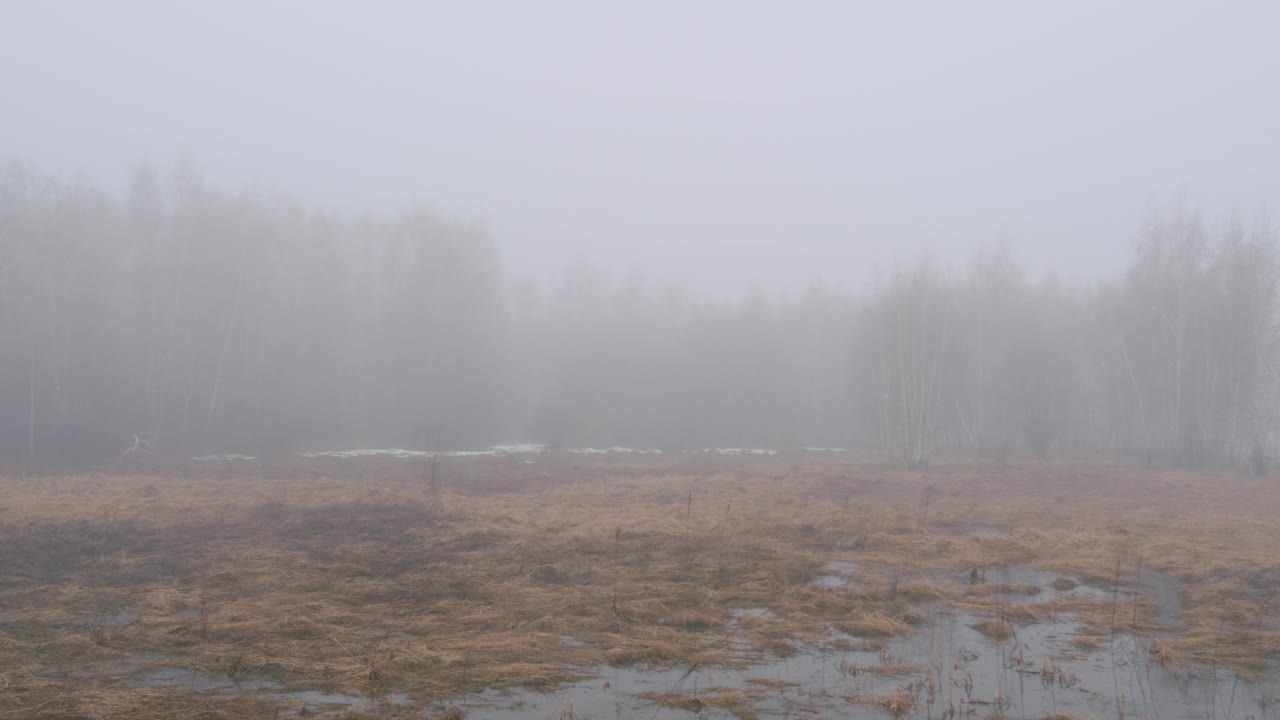 春雾景观。低地的干草，森林边缘的水，还有雪。视频素材