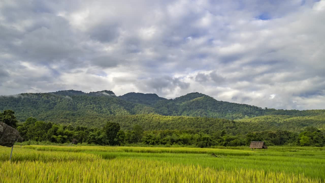 在雨季的一个清晨，移动的云在山脉和稻田上空的时间流逝视频素材