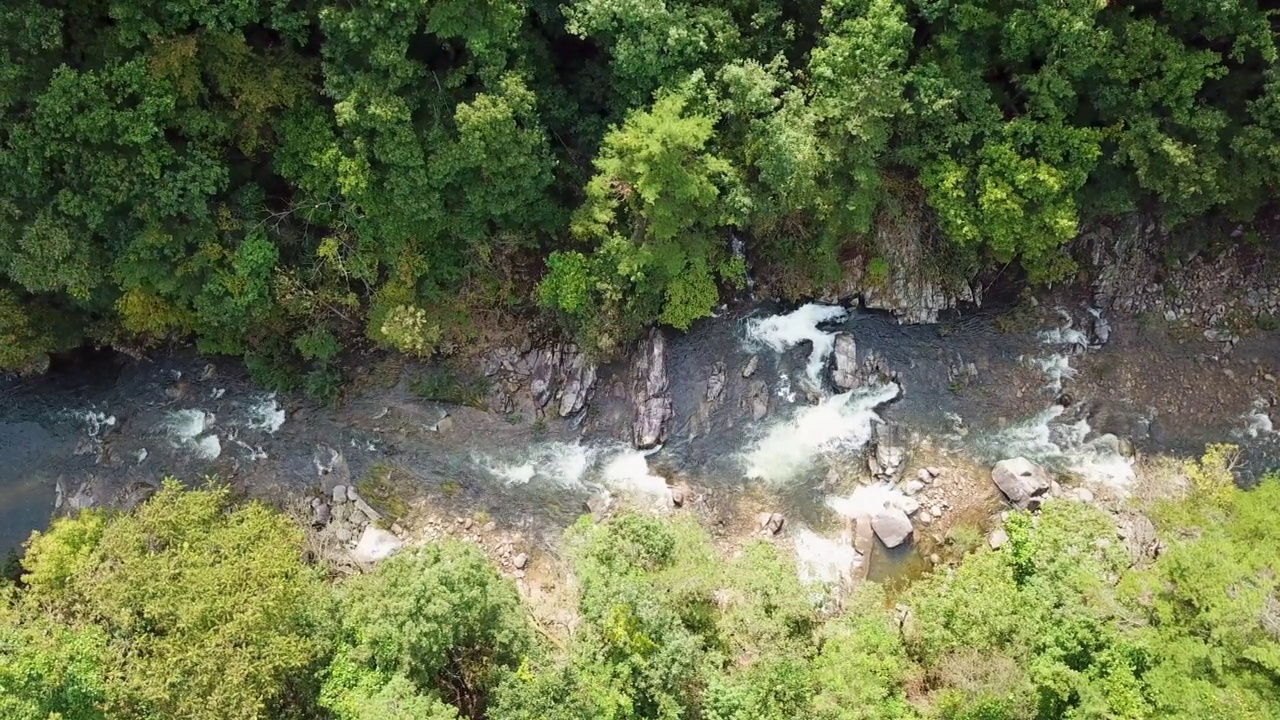 韩国江原道江陵市泗川郡的泗川川溪谷视频素材