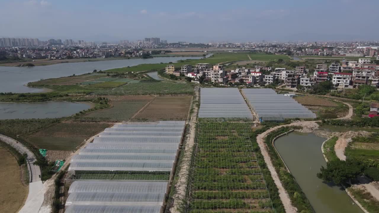 现代农业温室种植基地视频素材