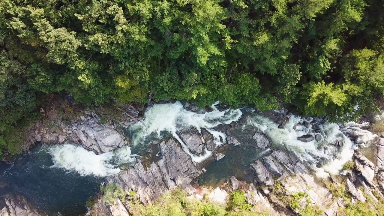 韩国江原道江陵市泗川郡的泗川川溪谷视频素材