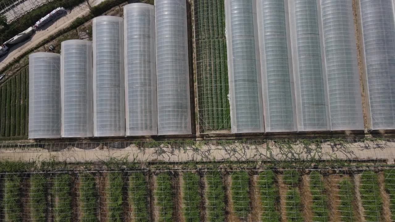 现代农业温室种植基地视频素材